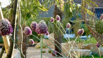 02 - Jardin de type méditeranéen de lotissement  - Yverdon