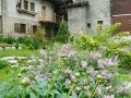 jardin de montagne carole roulier