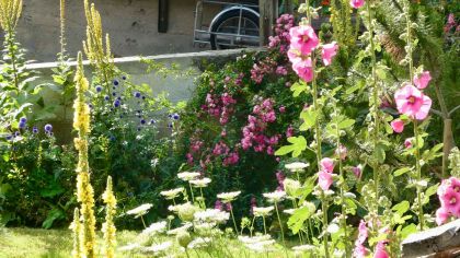 20 Jardin provisoire d'esprit champêtre de semis Evolène