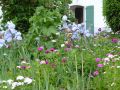 jardin de campagne