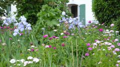 jardin de campagne