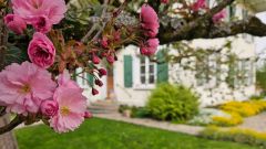 jardin de campagne