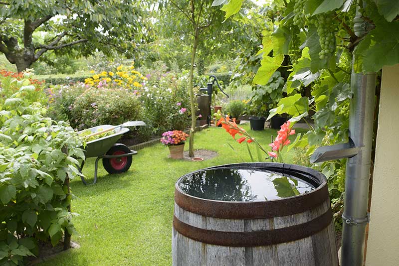 -eau-jardin-art-carole-roulier