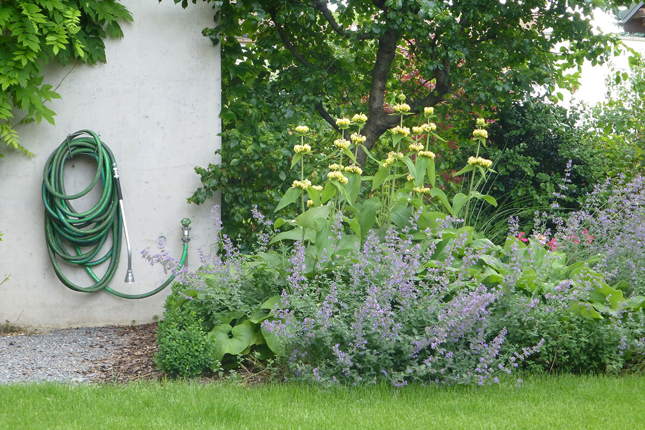 -robinet-de-jardin-et-massifs-eau-